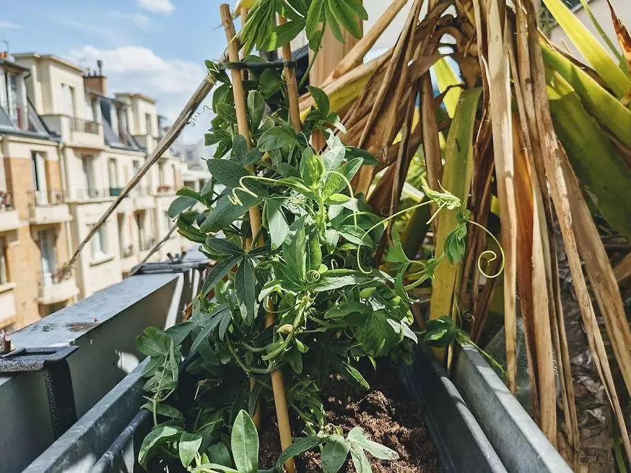 La Colonie // Cosy - Terrasse - Butte Aux Cailles Appartement Parijs