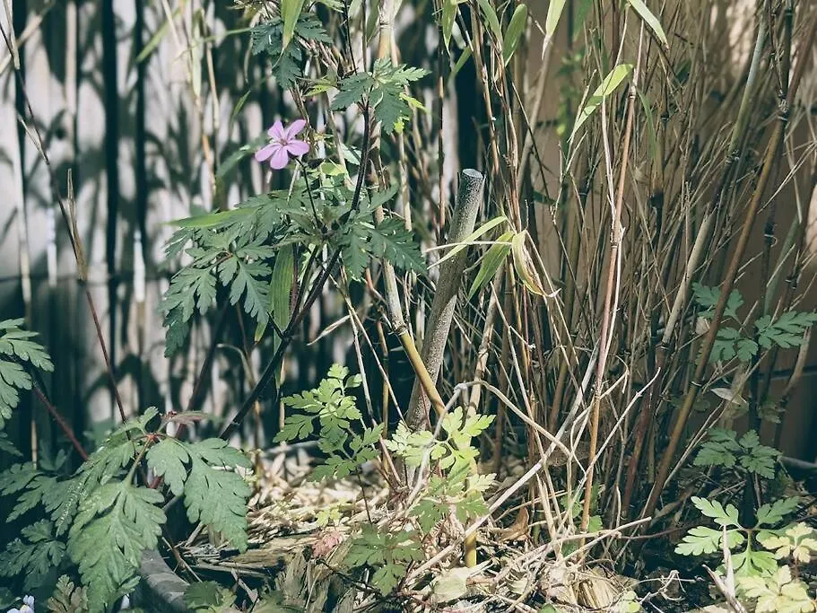 Appartamento La Colonie // Cosy - Terrasse - Butte Aux Cailles Parigi 0*,